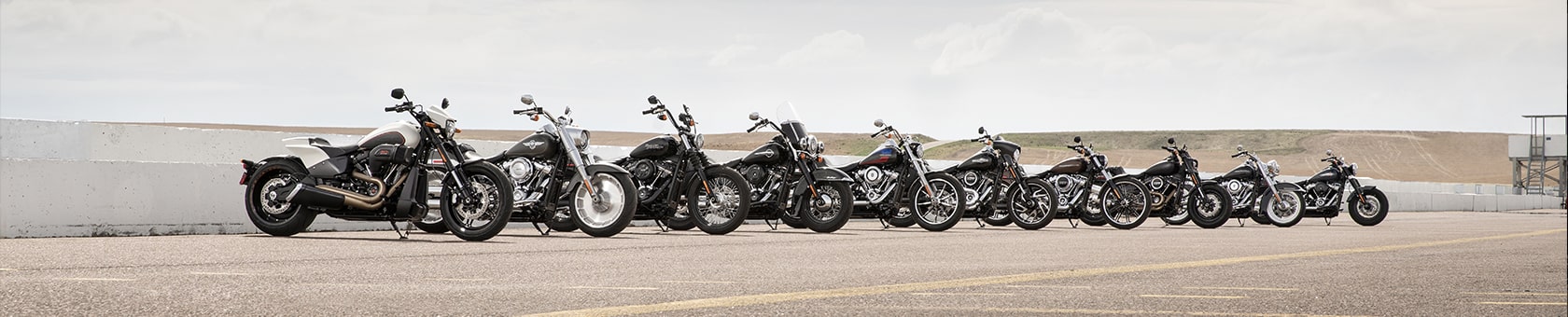 Image of 2019 line-up of Harley Motorcycles